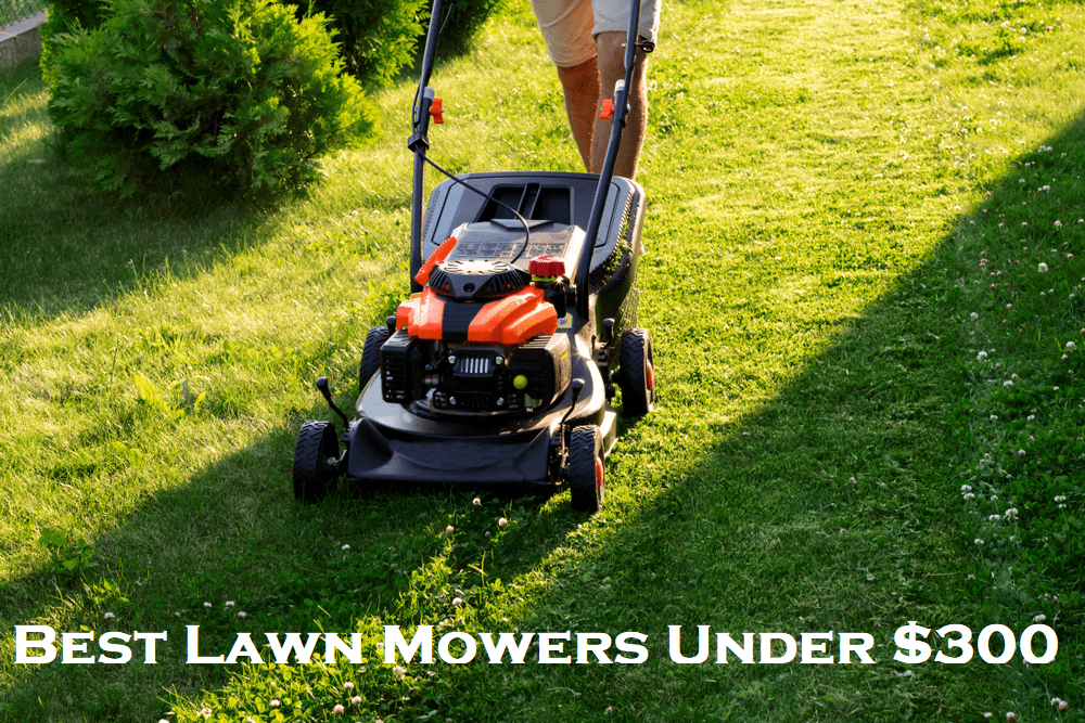10 Best Lawn Mowers Under 300 [2020 Reviews] Wimpole