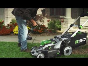 string trimmer reviews