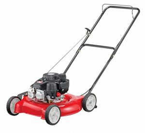 best lawn mower under 300 dollars