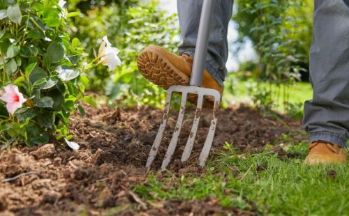 kbv72RkxNaB5TJKf76Mo9A-768-80